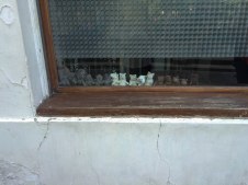 While wandering the Latin Quarter area, we encountered this random window with little mice!