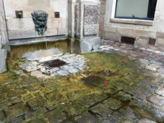 The neighborhood of Marais had a big fishing industry, so some streets had these little sink areas to wash off the fish for the market. I've actually noticed a lot of these little sinks all over Paris, pretty neat!